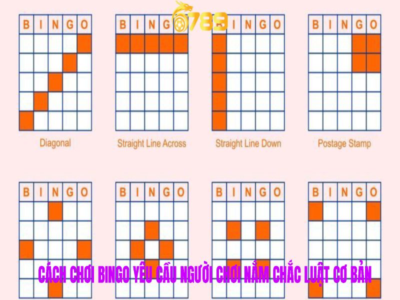 Cách chơi bingo yêu cầu người chơi nắm chắc luật cơ bản