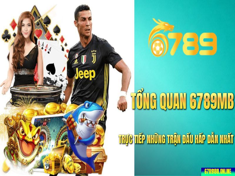 Thể Thao 6789mb - Sức hút từ những trận cầu rực lửa