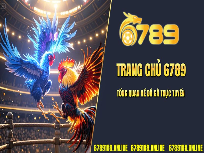 Trang chủ 6789 - tổng quan về đá gà trực tiếp
